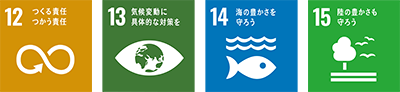 sdg_icon.png